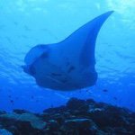 10946273_764822003598354_380410924_a