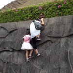 11355933_1456087948041620_45708124_a