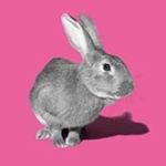 12107476_736541263113220_1167197055_a