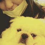 12558737_118538198529619_278227349_a