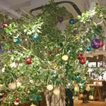 12080596_418285058381446_800647576_a