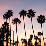 11311364_1454139761562477_692797780_a