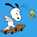 12107482_982100041848535_991758885_a