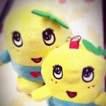 12729574_1679157989022821_1525153869_a