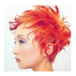 11252780_436382886550138_1496434945_a