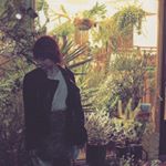 12750043_1307410805942453_113569007_a