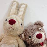 12558887_1528167624143081_1036971620_a