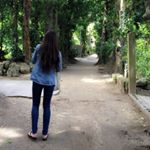 12748182_1717597768485363_2085435186_a