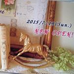 10732019_386731948199168_1871393194_a