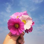 12331567_1529124197385140_1978744758_a