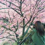 12750324_231158993891217_1321910454_a