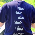 11324473_903043876435361_2006457299_a