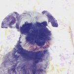 11311220_494811447338446_1572709803_a