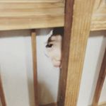 12407541_567205950095012_275484065_a