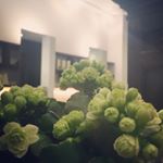 12751066_1712588828953166_253084161_a