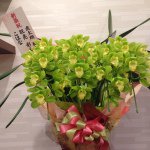 10349766_1571483383081612_1163587900_a