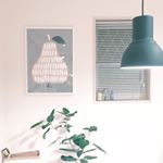 12357783_1702069656693709_1197709581_a