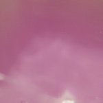 11856828_418534528338354_511288696_a