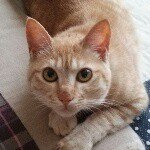 10954227_476482629159482_1801985279_a