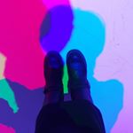 12407741_810576259054417_702917497_a