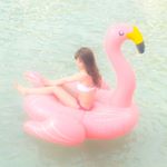 12751386_1696955350582847_1395285700_a