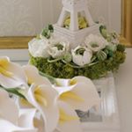 12107474_1663937523890825_797895404_a