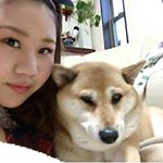 12547210_959642514106506_575356257_a