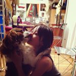 11378425_1469991313299128_648814071_a