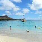 11820432_861643593884837_892545755_a