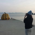 11176064_1585162741734294_753952768_a