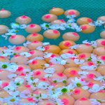 10755922_312625748925213_1466493272_a