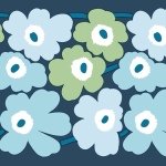 11849892_422802764574041_1537736288_a