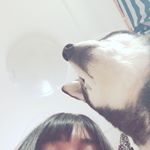 12568936_575513835936380_1358175355_a