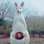 12276899_515851211927255_582139998_a