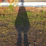 10413791_696951060340751_1547423195_a