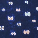 12729667_1560139697629733_515980283_a