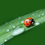 12328251_1769796286575232_1041515839_a