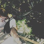 11820515_407654989358994_1968882320_a