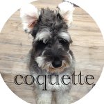 11313382_914341838638653_2005020751_a