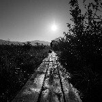 10808650_1507353129530862_1080624356_a