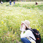 11252652_686678758124345_717540746_a