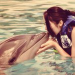 10643994_277651799106686_108237866_a