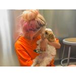 10838381_1039483136123059_2088695136_a