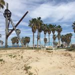 891430_247489912256186_843296694_a