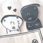 11374021_1070363262987182_1979474582_a