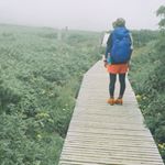 11856718_1670024446575345_1566036951_a