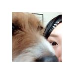 11352280_1614133265521648_1898083236_a