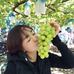 12446188_470616256455561_813418744_a