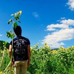 11348215_831021506993216_1547865964_a