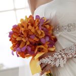 12393975_480253608829284_1983510607_a